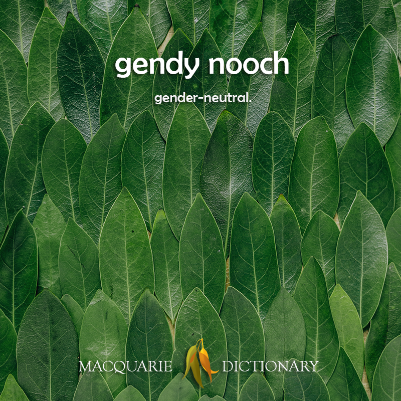 gendy nooch	gender-neutral.